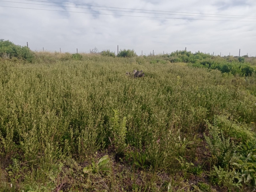 Commercial Property for Sale in C Place Eastern Cape